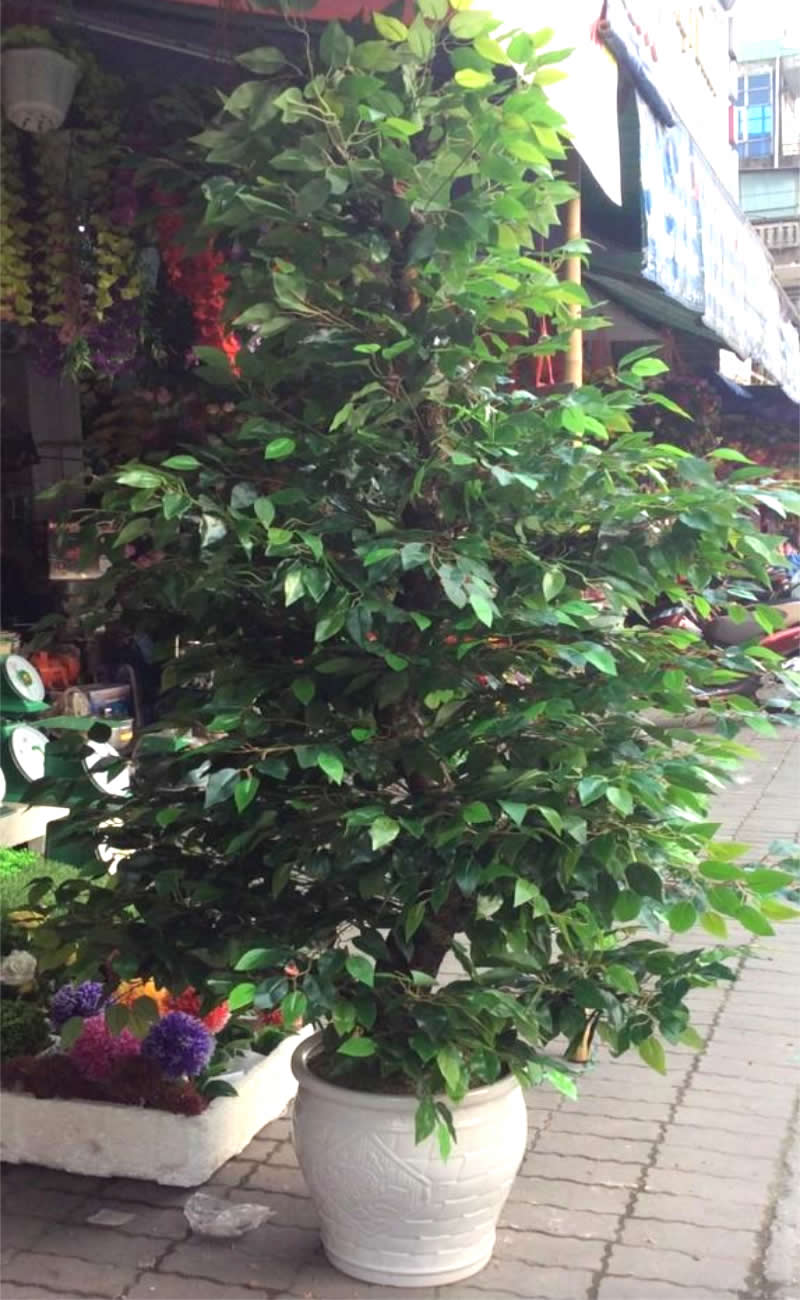 Thi công cây hoa giả đẹp