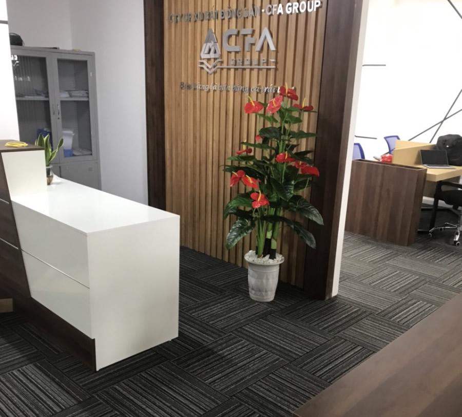 Thi công Thảm trải sàn Sàn bất động sản CFA
